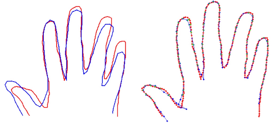 Hand Geometry Concept
